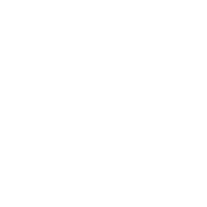 Vermogensatelier