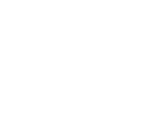 Vlinvesta